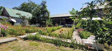 Torpaq sahələrinin satışı: 12 sot, Tikinti, Makler, Kupça (Çıxarış) — 9