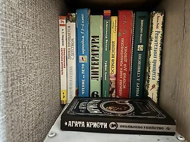 школьники сливы: Подборка книг для подростков и семейного чтения (разные жанры — 1