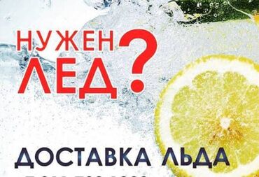 антифриз для отопления дома цена: Пищевой лёд от 30 сом килограмм. Кубиковый лёд для напитков оптом