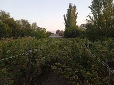 Продажа домов: Времянка, 53 м², 3 комнаты, Собственник — 19