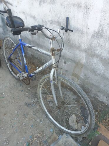 Şəhər velosipedləri: Şəhər velosipedi Stels, 26", sürətlərin sayı: 7