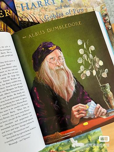 белая ночь: Иллюстрированное издание «Harry Potter» (англ. язык) — набор из 4 книг — 8