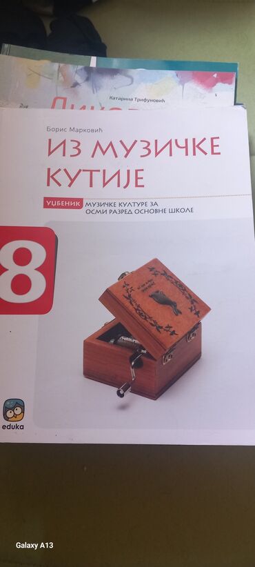 Knjige i stripovi: Knjige za 8 razred, odlicno ocuvane — 13