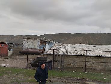 4 otaqlı kiraye evler: Ferma kompleksi – mal-qara saxlanışı üçün hazır infrastruktur - Geniş — 2