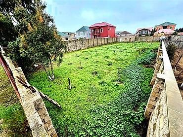 binədə torpaq satılır: 5 sot, Tikinti, Mülkiyyətçi, Kupça (Çıxarış) — 1