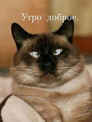 массажит: Ищу работу во второй половине дня(после13.00). О себе: Женщина 49 — 1
