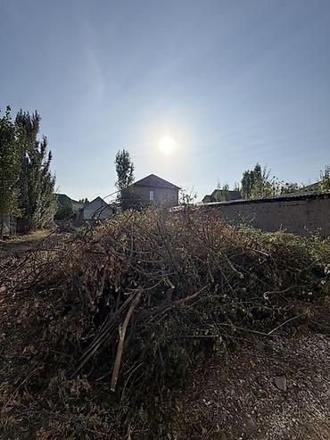 Товары для пикника: Дрова Бесплатная доставка — 2