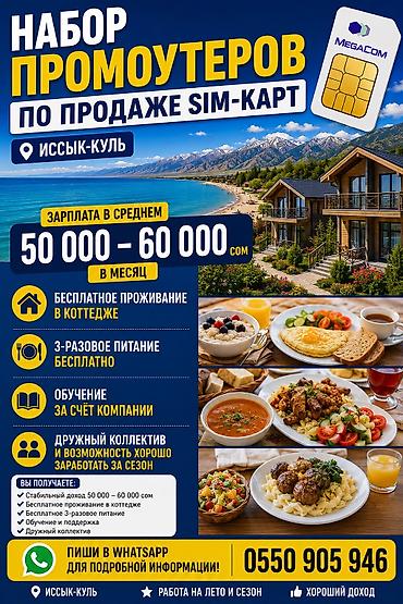 мини эксковаторы: Вакансия: промоутер по продаже SIM‑карт MegaCom (локация: Иссык‑Куль) — 1