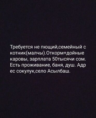 работа в бишкеке разное: Требуется не пющий семейный скотник (малчы, откорм). У нас каровы не