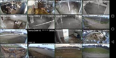 Kommersiya daşınmaz əmlakının satışı: 🔹 Satılır: Ferma – Xudat, Ləcət kəndi 🔹 ✅ Unikal fürsət! Xudat-Yalama — 15