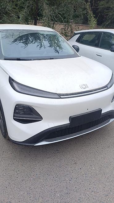 зарядная: Changan Qiyuan Q05: 2026 г., 0.1 л, Автомат, Электромобиль — 1