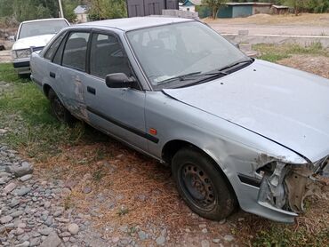 шины на т25: Toyota Carina: 1990 г., 1.6 л, Механика, Бензин, Седан