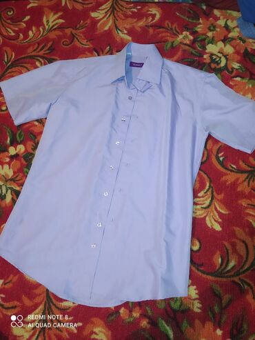Рубашки: Рубашка 2XL (EU 44), 3XL (EU 46), цвет - Синий