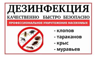 автоэлектрик ремонт авто с выездом бишкек: Дезинфекция клоп,таракан,бурго,кене жок кылабыз!