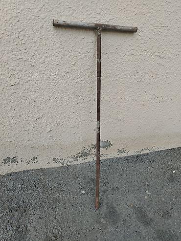 imice: Seksiya radiator acari.seksiya acari. Radiator acari — 2