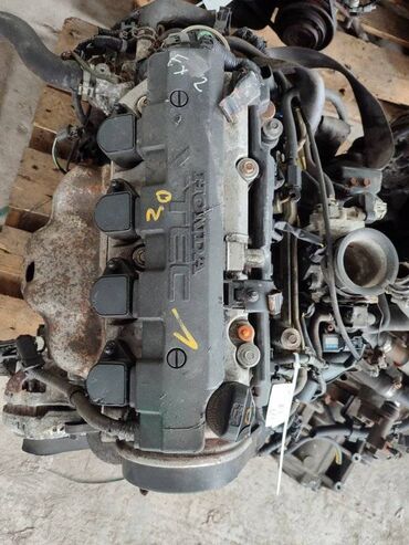 двигатели хонда: Двигатель Honda Civic EU1 D16V 1.6 2001 (б/у)