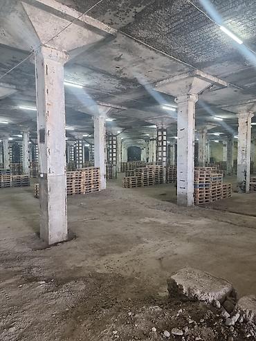 продаю кара балта: 🏢 СКЛАДСКИЕ ПОМЕЩЕНИЯ В АРЕНДУ ‼️ Сдаются в аренду большие складские — 3