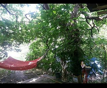 Günlük kirayə mənzillər: 5 otaqlı — 14