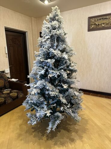 Yeni il ağacları: Qarlı Yenil ağacı – şam qozalarıda var üzerinde. Hündürlük- 2,1 -da lalafo.az — 1 Yeni il ağacları: Qarlı Yenil ağacı – şam qozalarıda var üzerinde. Hündürlük- 2,1 — 1