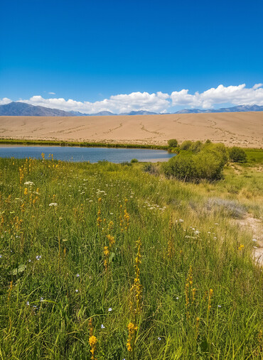 Продажа домов: Дом, 40 м², 4 комнаты, Собственник, Косметический ремонт — 3