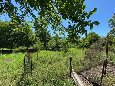 Həyət evləri və villaların satışı: Şemkir şeheri, Elperest Hüseynov küçesi, ev 122 Yeni qaydalarla — 3