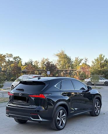 k7 2019: Lexus NX: 2019 г., 2.5 л, Вариатор, Гибрид, Кроссовер — 6