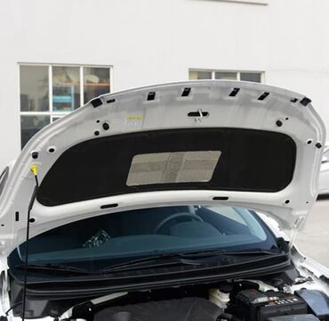 Digər aksesuarlar: Hyundai Elantra 2011-2015 ucun,kapotun beswumkasi,yenidir