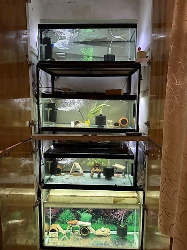 akvarium isiqlari: Dördbucaq akvarium, Boş, 190 l, Ünvandan götürmə — 1