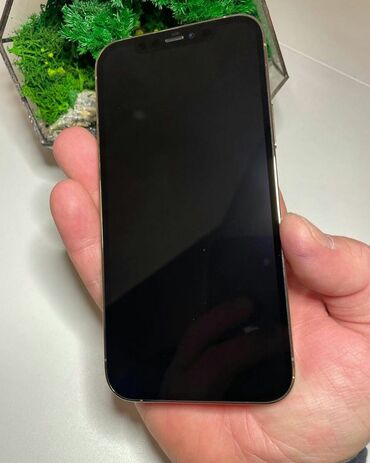 iphone 5 black: IPhone 12 Pro, 256 ГБ, Золотой, Гарантия, С документами