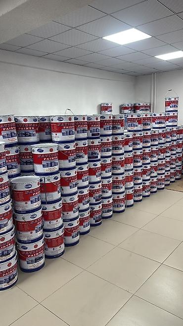 краска машины: Краски и покрытия NATIONAL PAINTS Профессиональная линейка — 5