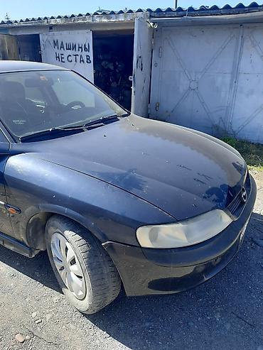 Opel: Opel Vectra: 2000 г., 1.8 л, Автомат, Бензин, Седан — 5