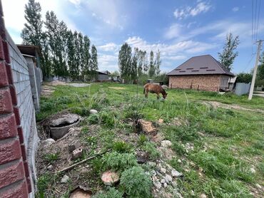 Продажа участков: 8 соток, Для строительства, Красная книга, Договор купли-продажи
