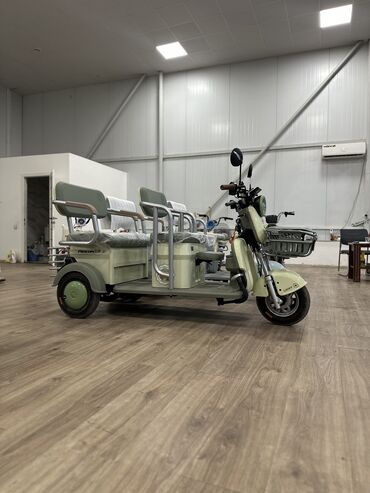 Мотороллеры муравей: Мотороллер муравей Электро, 50 км, До 299 кг, Новый — 5