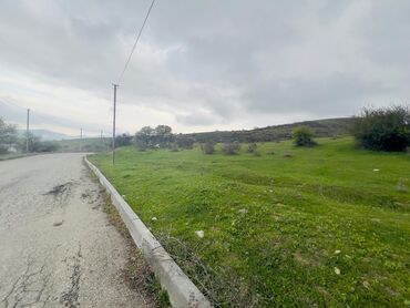 yeni ramanida torpaq satilir: 12 sot, Tikinti, Mülkiyyətçi, Kupça (Çıxarış)