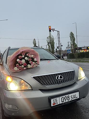 rx 2017: Lexus RX: 2005 г., Автомат, Газ, Внедорожник — 4