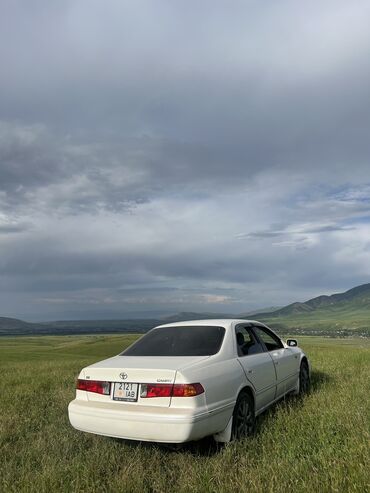 машина ош тико: Toyota Camry: 2000 г., 2.2 л, Автомат, Бензин, Седан