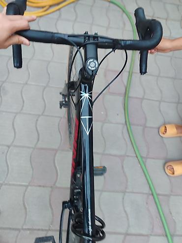 speedone frame: Шоссейный велосипед, Рама L (172 - 185 см), Новый — 3