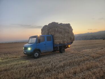 корея машина: Mercedes-Benz : 1990 г., 4 л, Механика, Дизель