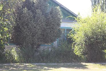 Кыймылсыз мүлк: 🏡СРОЧНО!!! продается дом в селе Михайловка! Просторный дом из 6 — 1