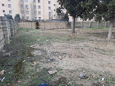 Torpaq sahələrinin satışı: 25 sot, Kupça (Çıxarış) — 8