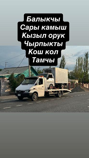 салквн тор: С ломаной платформой, С лебедкой — 1