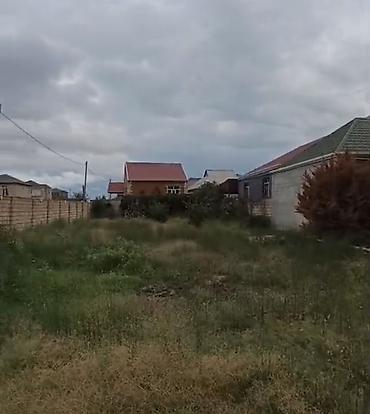 gen: 6 sot, Kənd təsərrüfatı, Kupça (Çıxarış) — 1