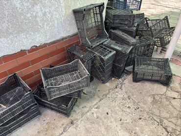 ящик пластиковый для овощей: Пластик Ящик