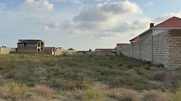 turkanda evler: 6 sot, Kənd təsərrüfatı, Mülkiyyətçi, Kupça (Çıxarış) — 4