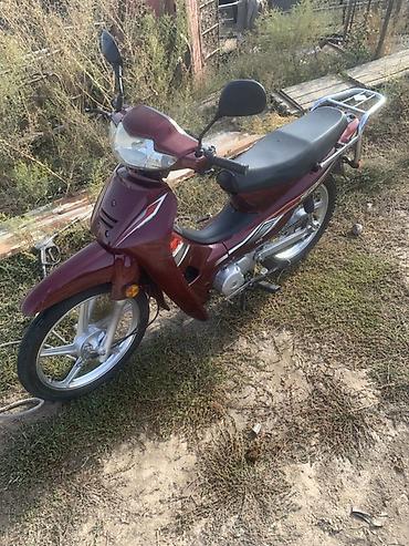 мопеды 50 кубов: Продам мопед-скутер класса Cub (тип Honda Super Cub/Delta) в бордовом — 6