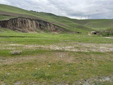 Продажа участков: 25 соток, Для бизнеса, Договор купли-продажи, Красная книга — 12