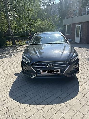 кобальт 2013: Hyundai Sonata: 2018 г., 2 л, Автомат, Газ, Седан — 2