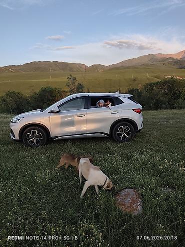 byd atto 8: BYD Yuan Plus: 2023 г., 5.5 л, Робот, Электромобиль, Кроссовер — 2