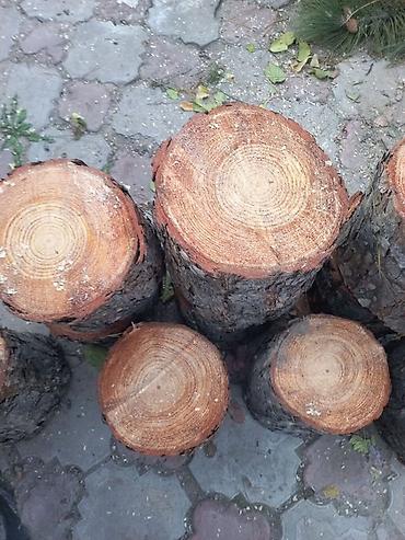 рулонный газон бишкек: Дрова Сосна — 3