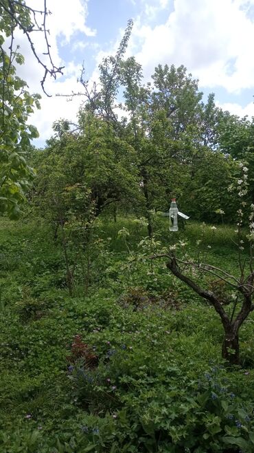 Günlük kirayə evlər: 150 kv. m, 4 otaqlı, Kombi, Qaz, İşıq — 17